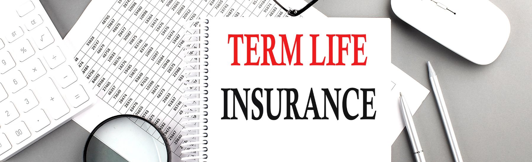 Term Life Insurance in Robesonia, PA